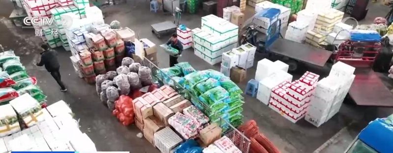 深圳市贸易业的新动向:锦鸿贸易引领发展